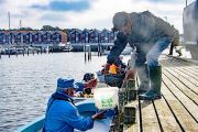 wSkrubbe-udstning-202014381