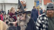 IMG8735